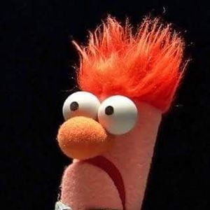 Meet your Posher, Don